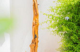 Casa Masini San Teodoro - Foto 58