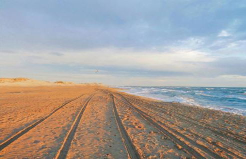 Les Piboules - Foto 26