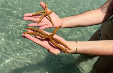 Casa nova Naluum Milagres - Foto 23