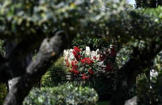 Gite des Demoiselles - Foto 14