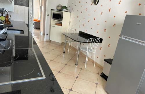 Bel appartement spacieux , lumineux, proche Dijon centre auditorium - Foto 12