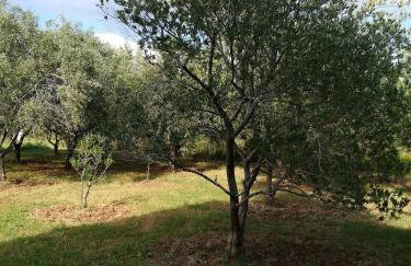 Apartments with a parking space Poljica, Zadar - 13289 - Foto 12