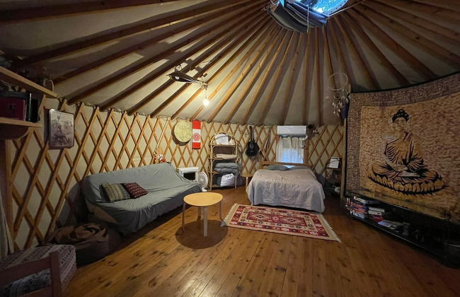 Yurt Located in a Little oak Grove - Foto 5
