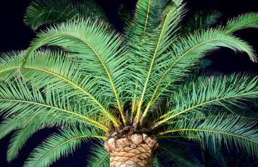 Finca RustiQ - Photo 18