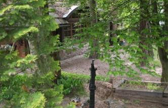 Leśny kasztel pod sosnami. Pokój w koronach drzew. - Foto 23