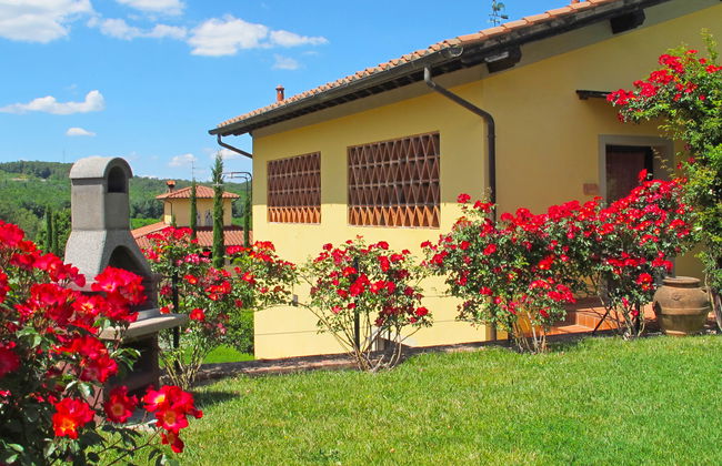 Corbezzolo - Foto 38