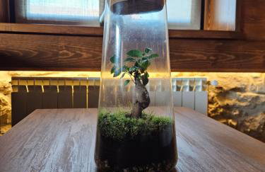 Villanueva 5 - Foto 11