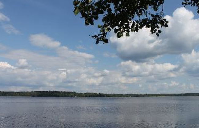 Kuivajärven huvilakoti - Foto 2