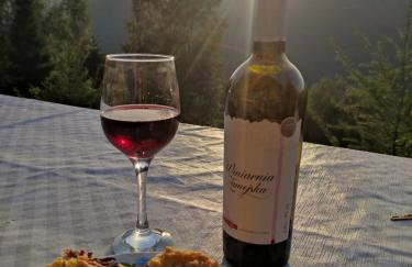 Sękata Chata - Photo 4