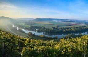 Altstadtnest - Foto 29