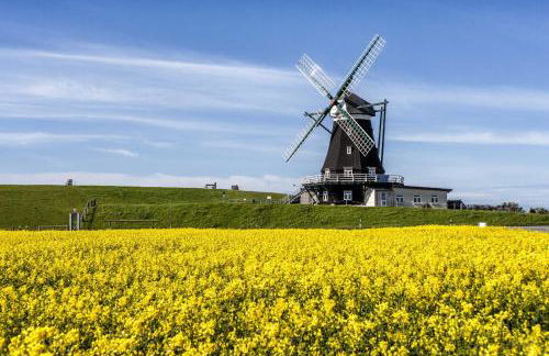 Gud Jard Chalet Nr 18 - Design-Ferienhaus mit exklusiver Ausstattung - Foto 56