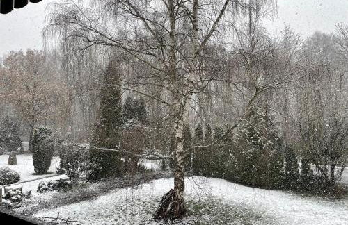 Henriette - Photo 25