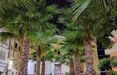 Casa vacanze A Milorda - Foto 10