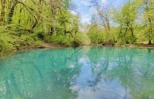 Appartemt Indépendant- Paysage Verdoyant- Piscine - Foto 11