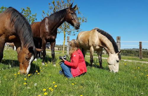 Ferienhäuser Schneeberger - Foto 35