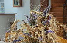 Les jardins du Canal - Foto 7