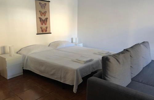 Velasmar II - Photo 9