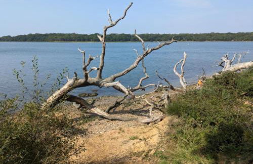 Chichester Cinema House - Foto 40