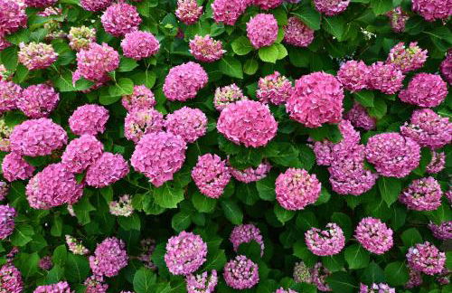 Melina's Wine Retreat - Foto 36