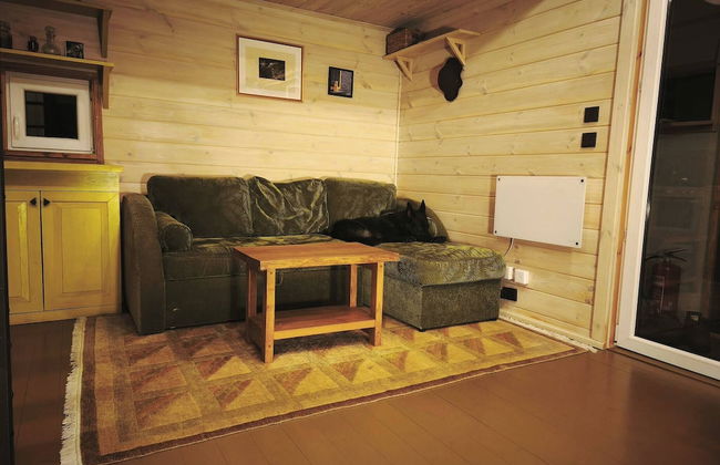 Metai Miške&a Year in the Forest - Photo 4