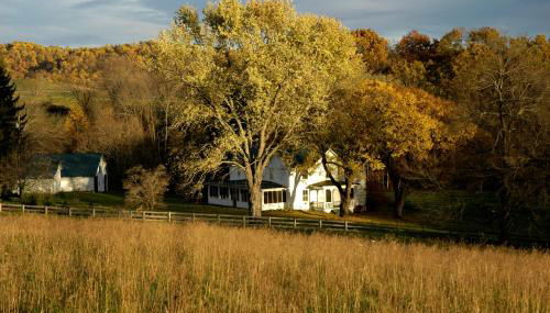 Walnut Run Farm - Foto 3