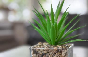 House - Private use - Foto 10