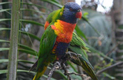 THE TEIDES WINDOW swimming pool LA VENTANA DEL TEIDE - Foto 31