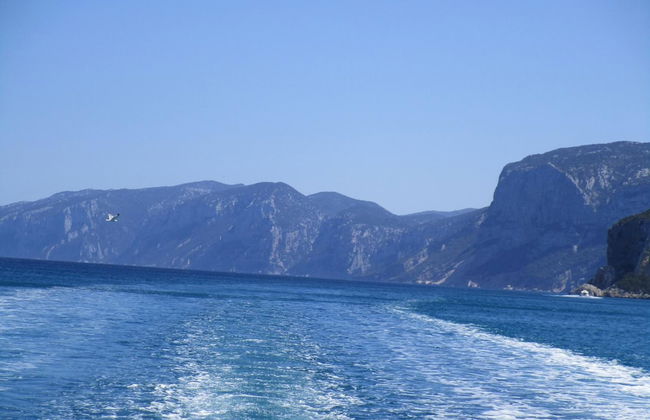 Agriturismo Su Tiresi - Foto 13