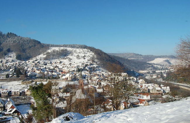 Holiday Apartment Holidays in the Forest - Foto 9