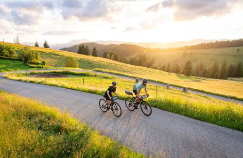 Ferienhaus Vogelsang - Foto 42