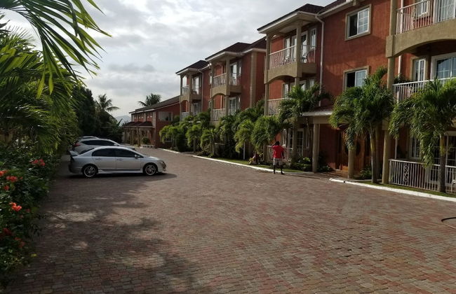 Palms of Liguanea - Foto 18