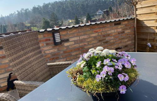 Langensteiner Idyll - Foto 70