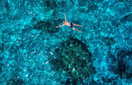 The Butterfly house - Foto 24