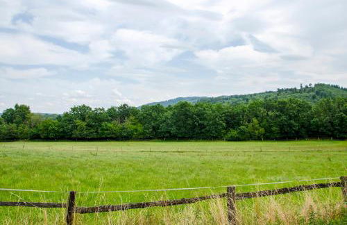 Harzblick am Waldesrand - Foto 29