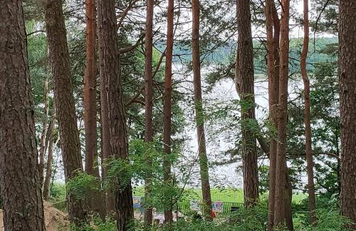 Domek letniskowy "Wiewiórka" - Foto 25