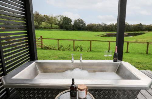 Dragonfly Shepherd's Hut - Photo 20