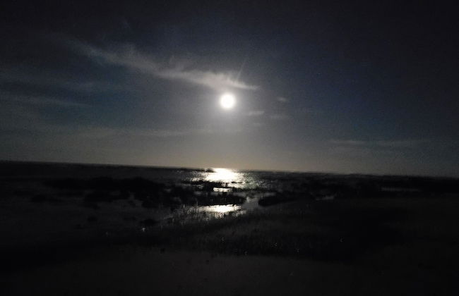 You Imagine Costa Rica Our Location Being on the Beach is What You Imagine - Foto 9