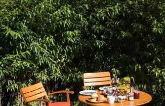 Schönes Ferienhaus mit Garten & Mid Century Möbeln in Strand nähe Avendorf - Foto 10