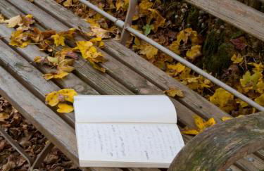 Il Vecchio Milipano - Foto 13