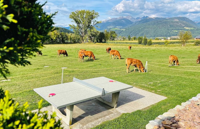 Residence Garni Untermoahof - Foto 22