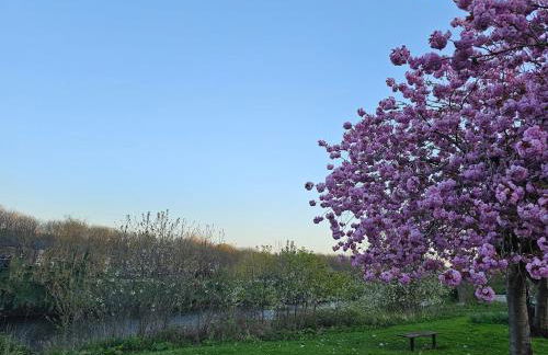 Your Home from Home - River bank - Foto 18