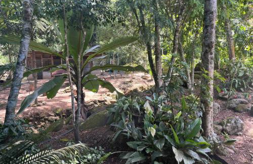 Casa em Friburgo com piscina, lareira suíte & quarto ATENCAO SABADO DIA 18 DE ABRIL TERA FESTA NA CHACARA - Foto 40