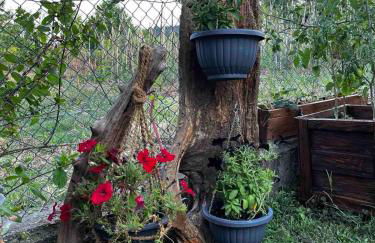 Ιξός Home - Photo 7