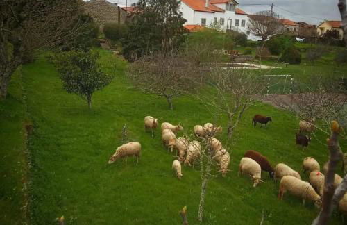 Rustic Terrace2 Bedrooms Farm House - Foto 20