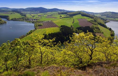 Holiday Home in Willingen-neerdar - Foto 51