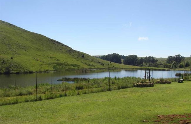 Fox and Squirrel - Foto 19