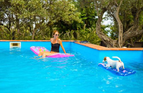 Residence Cassiodoro - Photo 28