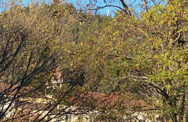 Casa La Turchese - Foto 6