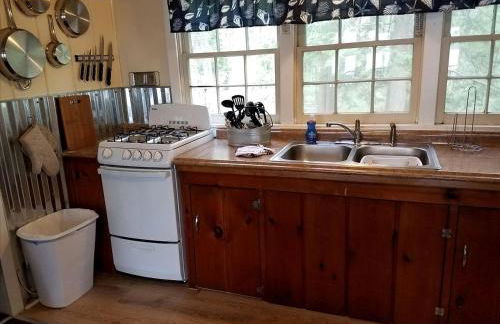 Charming Vacation Cabin with Waterfront Views on Pine Lake, Michigan - Foto 6