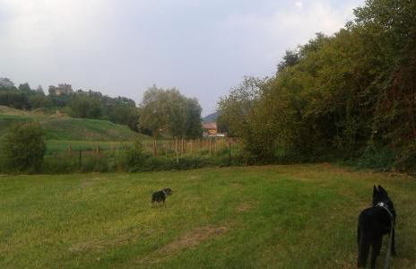 Agriturismo Terra e Lago d'Iseo Franciacorta - Foto 39